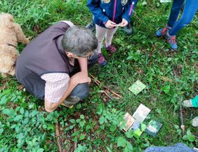 Der Förster in grauer Weste zeigt einer Gruppe von Kindern (nur die Beine oder eine Kappe sind sichtbar) verschiedene Fotos von Vögeln. Die Fotos liegen auf dem Grasboden. Auch zu sehen ist der Hund des Försters, ein kleiner Pudel.