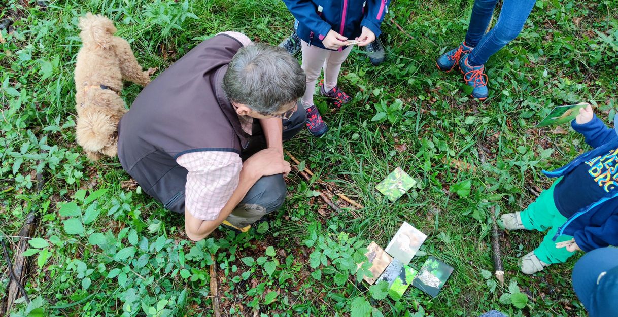 Der Förster in grauer Weste zeigt einer Gruppe von Kindern (nur die Beine oder eine Kappe sind sichtbar) verschiedene Fotos von Vögeln. Die Fotos liegen auf dem Grasboden. Auch zu sehen ist der Hund des Försters, ein kleiner Pudel.