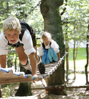 Kinder spielen auf einem Klettergerüst im Wald. Sie haben viel Spaß und genießen die Zeit in der Natur.