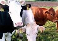 _changed => 14.03.2026 um 20:32 Uhr