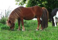 _changed => 15.03.2026 um 20:17 Uhr