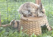 _changed => 04.02.2025 um 09:11 Uhr