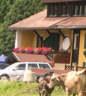 Ein gemütliches Landhaus mit bunten Blumen auf dem Balkon. Im Vordergrund stehen Kühe auf der Wiese und einige Autos sind geparkt.