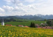 Gemeinde Stiefenhofen, Thomas Gretler