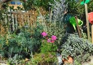 _changed => 13.03.2026 um 16:08 Uhr