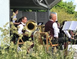 Hinter einer Reihe an Gräsern eine Musikgruppe in roten Westen auf Holzstühlen sitzend, mit Blasinstrumenten und Noten auf Notenständern. Sie sitzen mit dem Rücken nach links im Musikpavillon der hell beleuchtet ist..