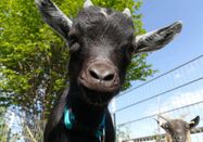 _changed => 04.08.2020 um 07:14 Uhr