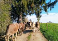 _changed => 09.02.2025 um 09:20 Uhr