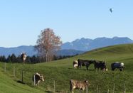 _changed => 09.02.2025 um 09:20 Uhr