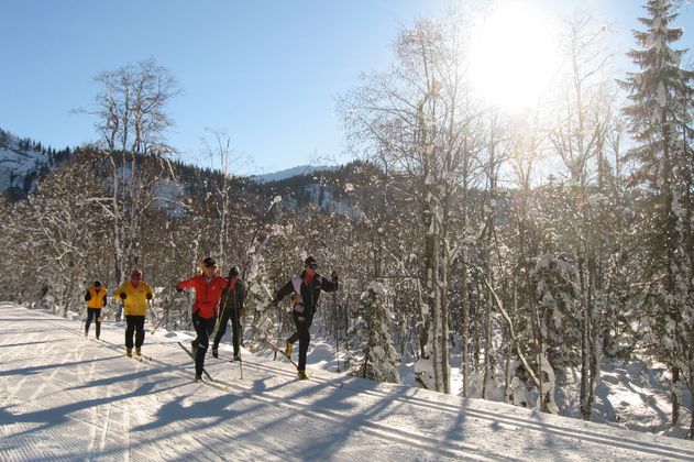 Langlauf in Balderschwang
