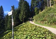 Kleinwalsertal Tourismus eGen