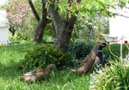 _changed => 04.02.2025 um 09:11 Uhr