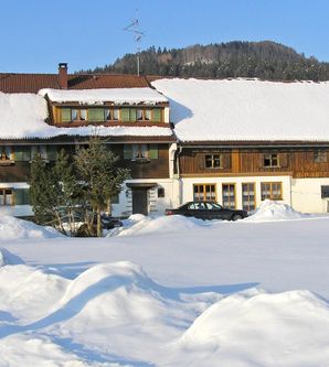 Ein traditionelles Haus im Schnee mit einem roten Dach. Umgeben von einer idyllischen Winterlandschaft.
