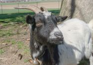 _changed => 25.11.2025 um 10:29 Uhr