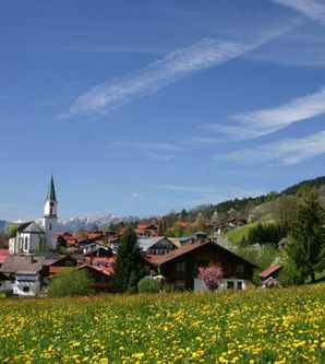 Eine malerische Landschaft mit bunten Häusern und einer Kirche. Im Vordergrund blühen gelbe Blumen auf einer grünen Wiese.
