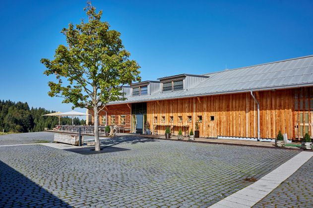 Ein modernes Holzgebäude mit einer gepflasterten Fläche und einem Baum im Vordergrund. Der Himmel ist klar und blau, was eine freundliche Atmosphäre schafft.