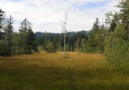 Naturpark Nagelfluhkette e.V.