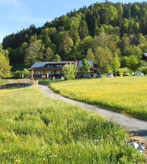 Eine grüne Wiese mit bunten Blumen und einem schmalen Weg, der zu einem Holzhaus führt. Im Hintergrund sieht man bewaldete Hügel und eine ruhige, ländliche Umgebung.