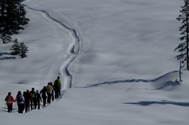 Gruppe von Personen beim Schneeschuhwandern in einer tief verschneiten Landschaft. Sie folgen einer schmalen Spur. Bäume am Rande der Ebene.