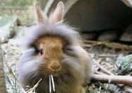 _changed => 13.03.2026 um 16:08 Uhr