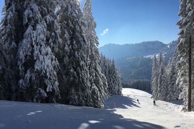 Verschneite Skipiste zwischen hohen, schneebedeckten Tannenbäumen, zwei Skifahrer in der Ferne.