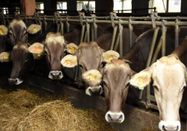 _changed => 09.02.2025 um 09:20 Uhr