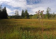 Naturpark Nagelfluhkette e.V.