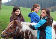 _changed => 21.02.2025 um 12:12 Uhr