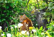 _changed => 13.03.2026 um 16:08 Uhr