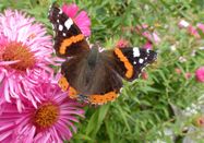 _changed => 14.06.2023 um 22:29 Uhr