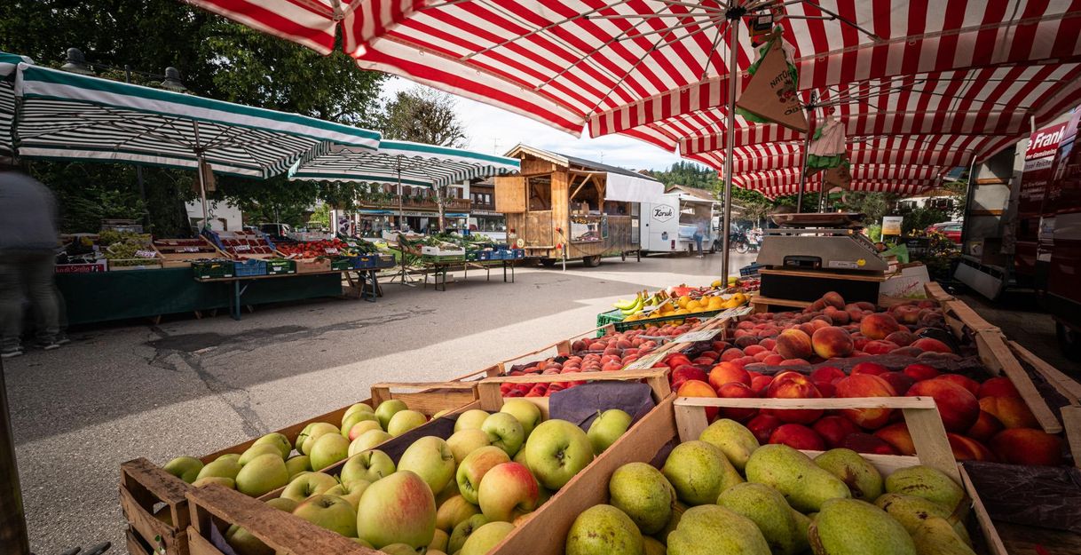 Etliche Marktstände in Fischen, Am Anger, mit Obst und Gemüse unter rot-weiß gestreiften Schirmen.