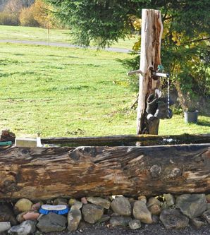 Ein rustikaler Wasserbrunnen aus Holz, umgeben von Steinen und Gras. Im Hintergrund sind Bäume und eine offene Wiese zu sehen.
