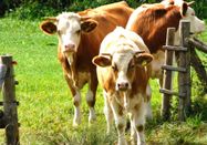 _changed => 17.07.2019 um 14:06 Uhr