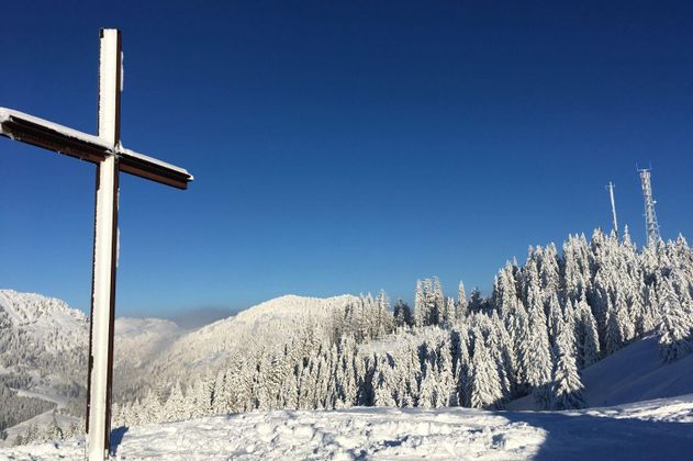 Schneebedecktes Gipfelkreuz links, im Hintergrund verschneite Tannenbäume und Sendemasten .