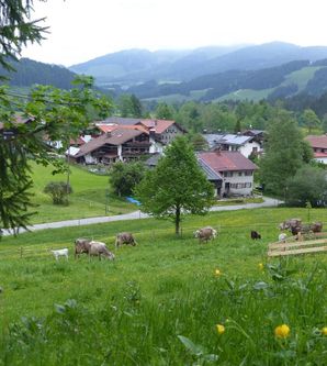 Eine malerische Landschaft mit Wiesen und Kühen. Im Hintergrund sind Berge und kleine Häuser zu sehen.