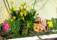 _changed => 09.02.2018 um 17:35 Uhr