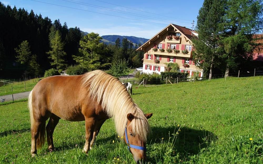 Ein braunes Pferd grast auf einer grünen Wiese. Im Hintergrund ist ein malerisches Gebäude und Wälder zu sehen.