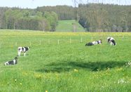 _changed => 26.06.2016 um 13:08 Uhr