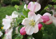 _changed => 13.03.2026 um 16:08 Uhr