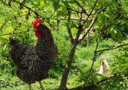 _changed => 14.06.2023 um 22:13 Uhr