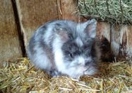 _changed => 09.02.2025 um 09:20 Uhr