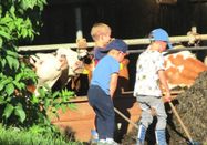 _changed => 04.08.2020 um 06:54 Uhr