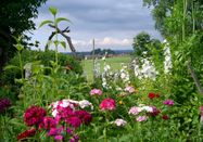 _changed => 14.06.2023 um 22:27 Uhr