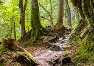 Outdooractive Premium