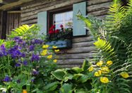 _changed => 14.06.2023 um 22:32 Uhr