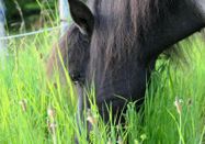 _changed => 20.03.2026 um 10:07 Uhr